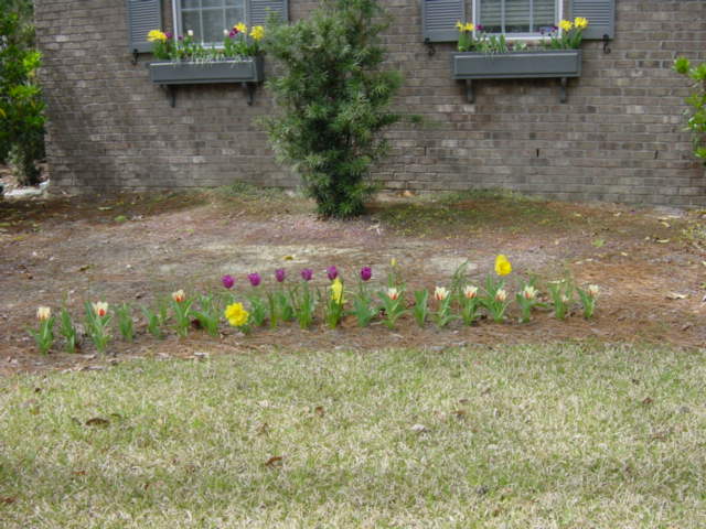 img-0004.jpg  (60.6 Kb)