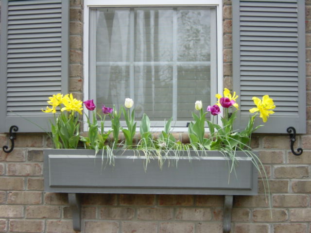 img-0005.jpg  (60.7 Kb)